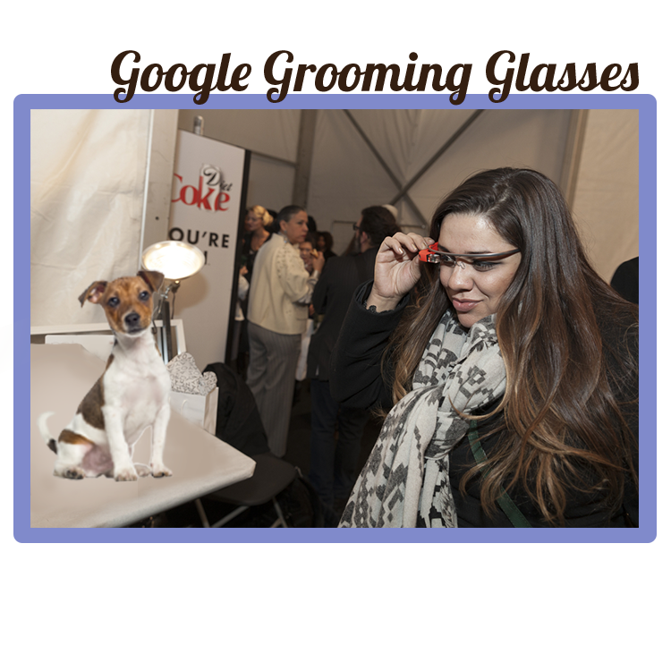 Google Grooming Glasses