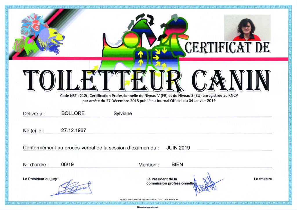 Certificat de Toiletteur Canin : le diplôme de Sylviane Bolloré