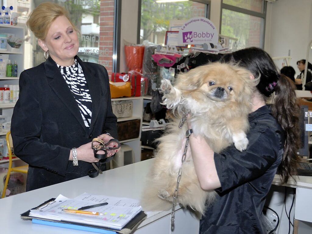 Toilettage chien, toilettage chat : le toilettage, pour quels animaux ?
