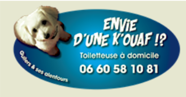 Carte de visite